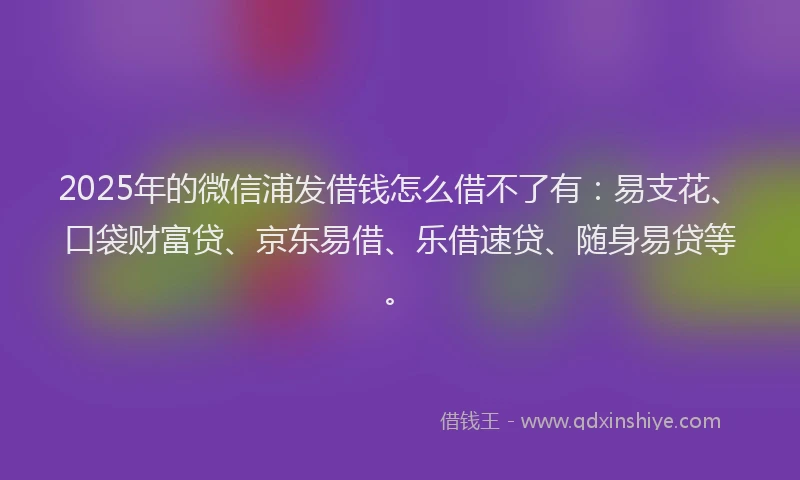 2025年的微信浦发借钱怎么借不了有：易支花、口袋财富贷、京东易借、乐借速贷、随身易贷等。