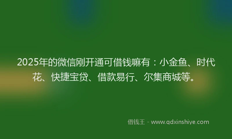 2025年的微信刚开通可借钱嘛有：小金鱼、时代花、快捷宝贷、借款易行、尔集商城等。