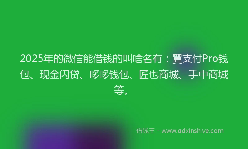 2025年的微信能借钱的叫啥名有：翼支付Pro钱包、现金闪贷、哆哆钱包、匠也商城、手中商城等。