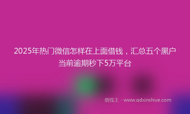 2025年热门微信怎样在上面借钱，汇总五个黑户当前逾期秒下5万平台