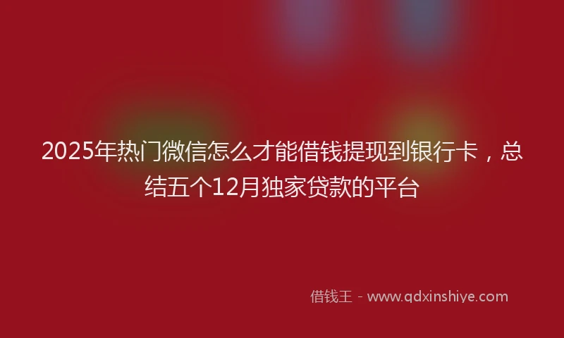 2025年热门微信怎么才能借钱提现到银行卡，总结五个12月独家贷款的平台
