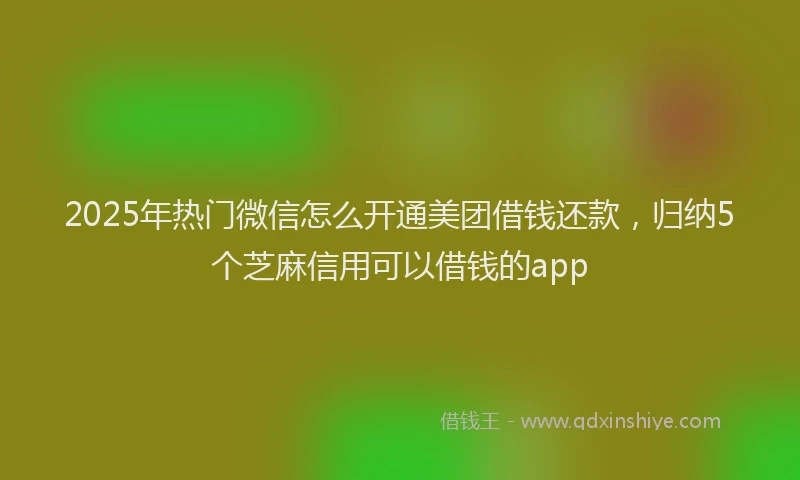 2025年热门微信怎么开通美团借钱还款，归纳5个芝麻信用可以借钱的app