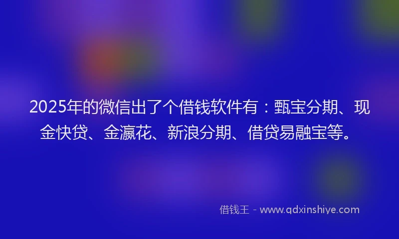 2025年的微信出了个借钱软件有：甄宝分期、现金快贷、金瀛花、新浪分期、借贷易融宝等。