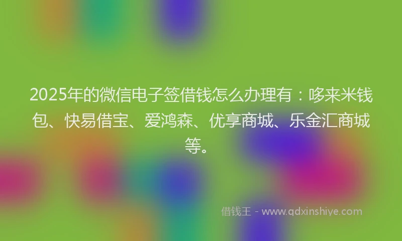 2025年的微信电子签借钱怎么办理有：哆来米钱包、快易借宝、爱鸿森、优享商城、乐金汇商城等。