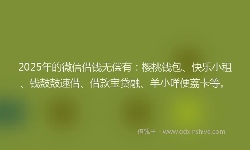 2025年的微信借钱无偿有：樱桃钱包、快乐小租、钱鼓鼓速借、借款宝贷融、羊小咩便荔卡等。