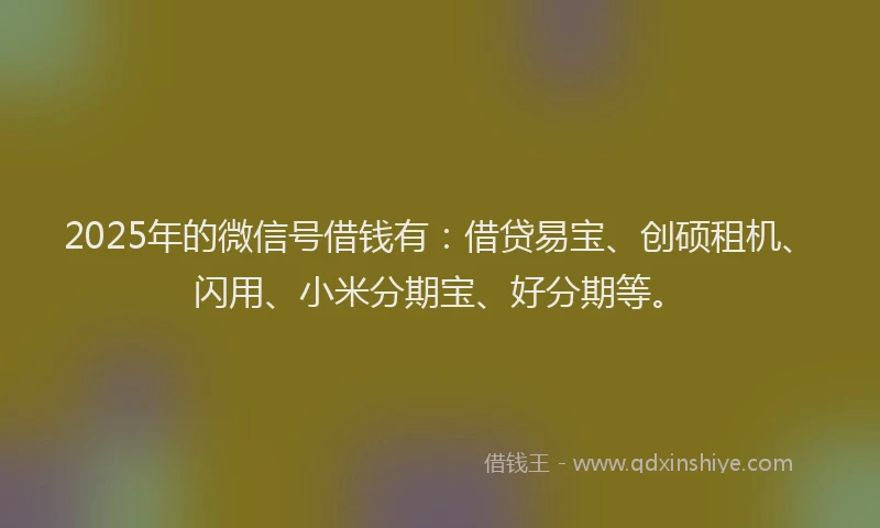 2025年的微信号借钱有：借贷易宝、创硕租机、闪用、小米分期宝、好分期等。