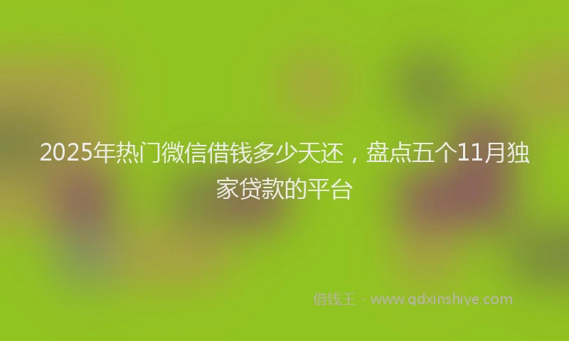 2025年热门微信借钱多少天还，盘点五个11月独家贷款的平台