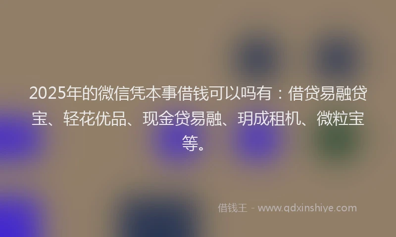 2025年的微信凭本事借钱可以吗有：借贷易融贷宝、轻花优品、现金贷易融、玥成租机、微粒宝等。