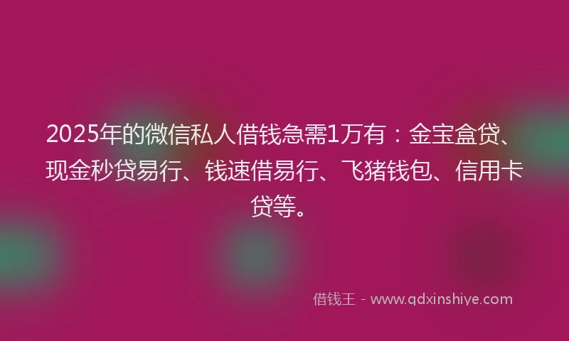 2025年的微信私人借钱急需1万有：金宝盒贷、现金秒贷易行、钱速借易行、飞猪钱包、信用卡贷等。