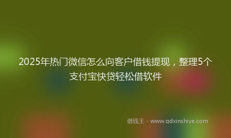 2025年热门微信怎么向客户借钱提现，整理5个支付宝快贷轻松借软件