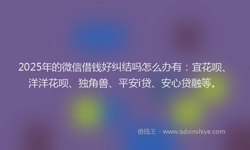 2025年的微信借钱好纠结吗怎么办有：宜花呗、洋洋花呗、独角兽、平安i贷、安心贷融等。