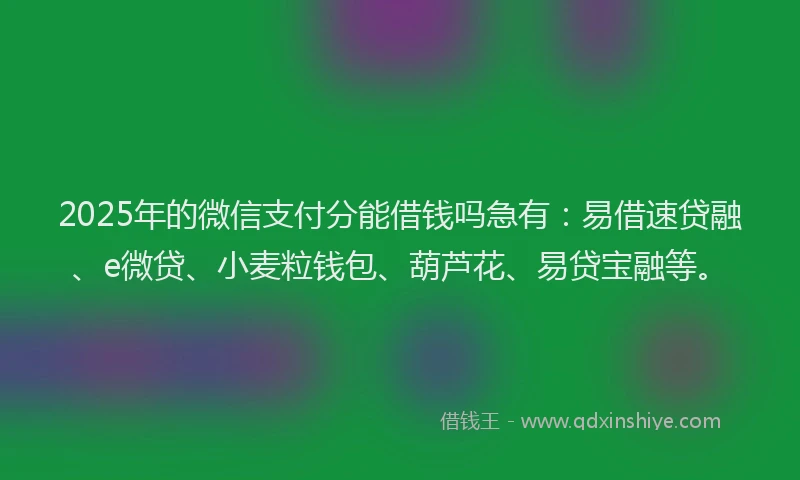2025年的微信支付分能借钱吗急有：易借速贷融、e微贷、小麦粒钱包、葫芦花、易贷宝融等。
