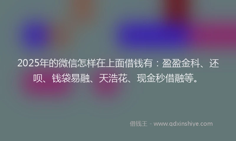 2025年的微信怎样在上面借钱有：盈盈金科、还呗、钱袋易融、天浩花、现金秒借融等。