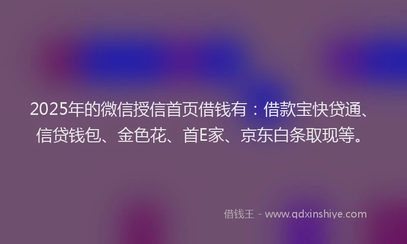 2025年的微信授信首页借钱有：借款宝快贷通、信贷钱包、金色花、首E家、京东白条取现等。