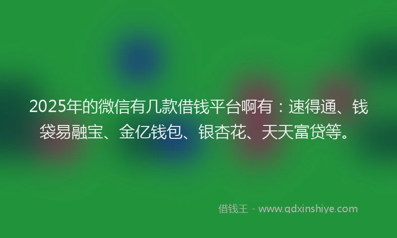 2025年的微信有几款借钱平台啊有：速得通、钱袋易融宝、金亿钱包、银杏花、天天富贷等。