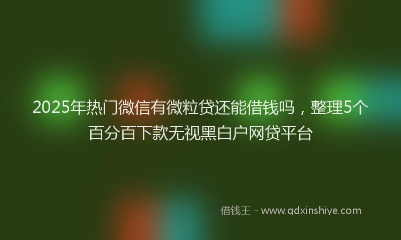 2025年热门微信有微粒贷还能借钱吗，整理5个百分百下款无视黑白户网贷平台