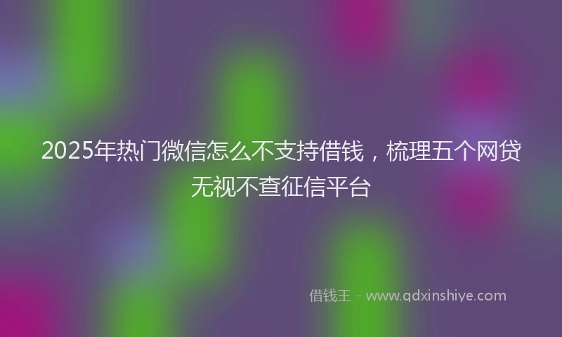 2025年热门微信怎么不支持借钱，梳理五个网贷无视不查征信平台