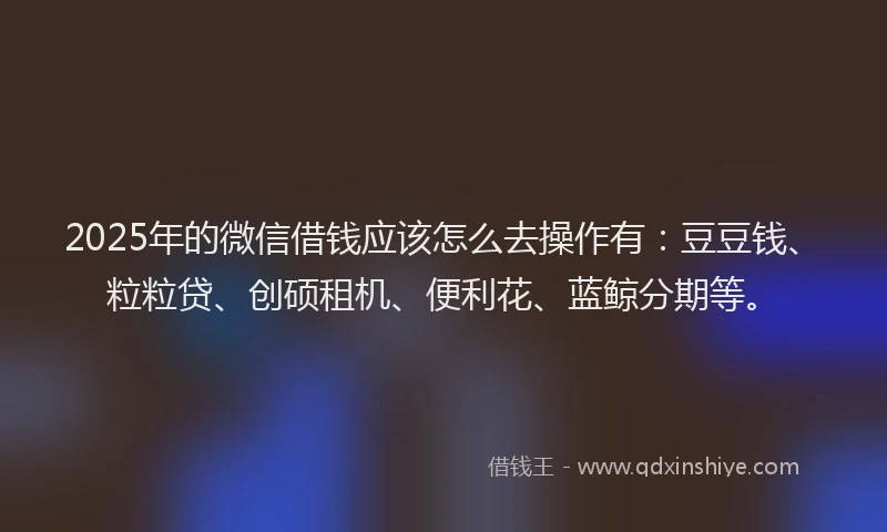 2025年的微信借钱应该怎么去操作有：豆豆钱、粒粒贷、创硕租机、便利花、蓝鲸分期等。
