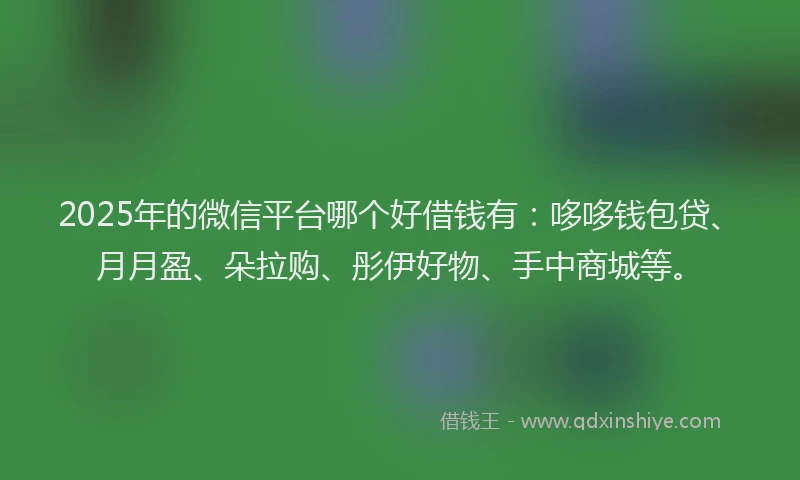 2025年的微信平台哪个好借钱有：哆哆钱包贷、月月盈、朵拉购、彤伊好物、手中商城等。