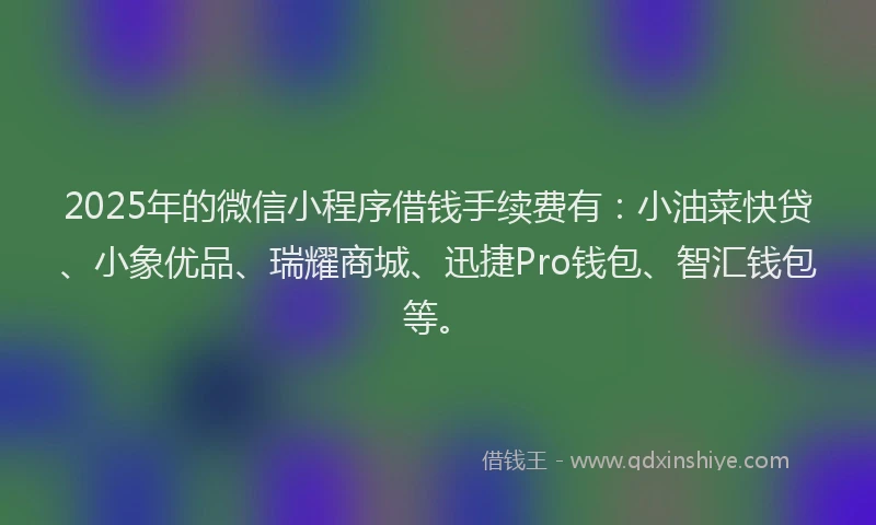 2025年的微信小程序借钱手续费有：小油菜快贷、小象优品、瑞耀商城、迅捷Pro钱包、智汇钱包等。