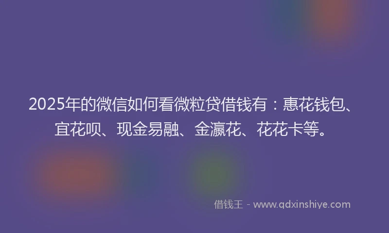 2025年的微信如何看微粒贷借钱有：惠花钱包、宜花呗、现金易融、金瀛花、花花卡等。
