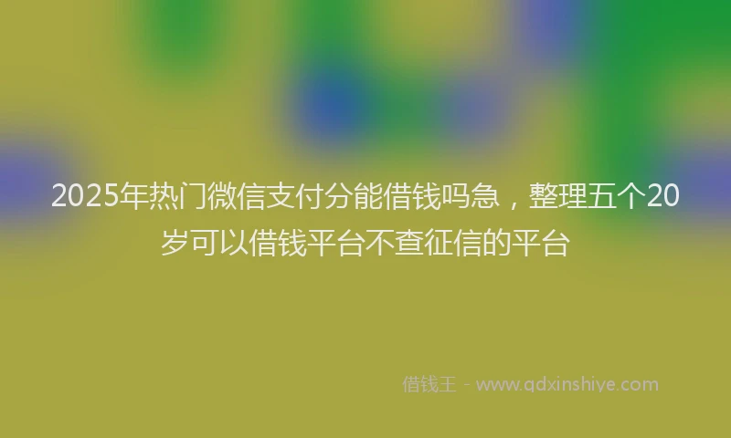 2025年热门微信支付分能借钱吗急，整理五个20岁可以借钱平台不查征信的平台