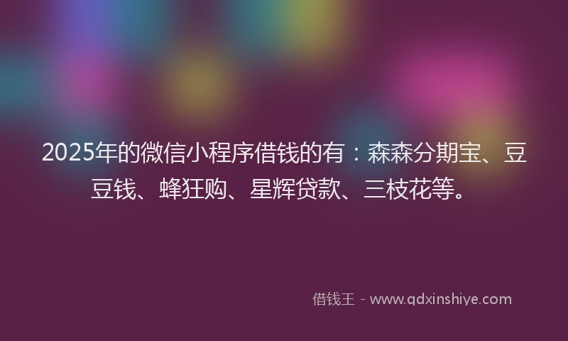 2025年的微信小程序借钱的有：森森分期宝、豆豆钱、蜂狂购、星辉贷款、三枝花等。