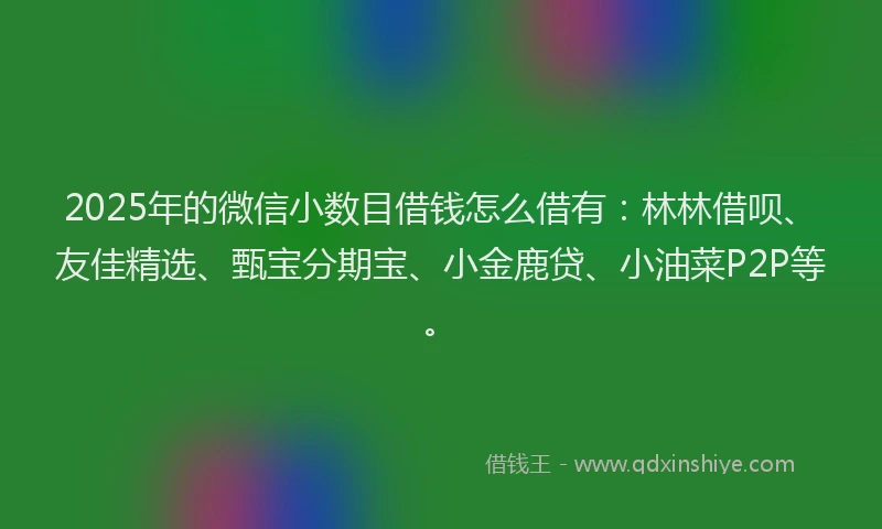 2025年的微信小数目借钱怎么借有：林林借呗、友佳精选、甄宝分期宝、小金鹿贷、小油菜P2P等。