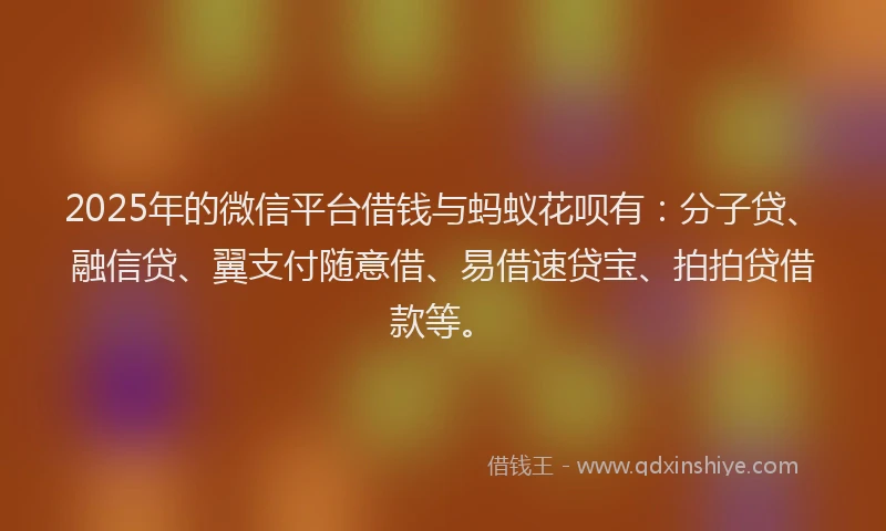 2025年的微信平台借钱与蚂蚁花呗有：分子贷、融信贷、翼支付随意借、易借速贷宝、拍拍贷借款等。