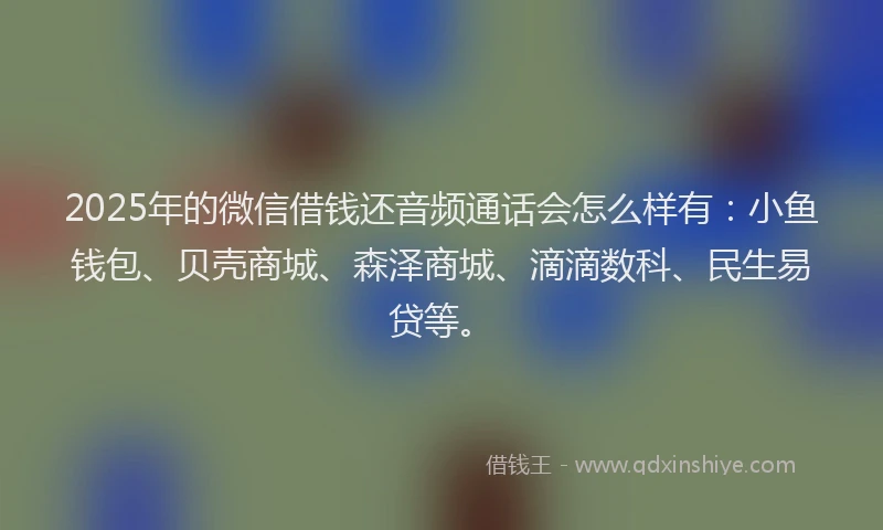 2025年的微信借钱还音频通话会怎么样有：小鱼钱包、贝壳商城、森泽商城、滴滴数科、民生易贷等。