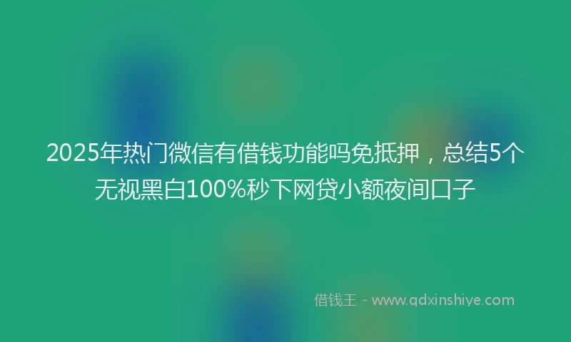 2025年热门微信有借钱功能吗免抵押，总结5个无视黑白100%秒下网贷小额夜间口子
