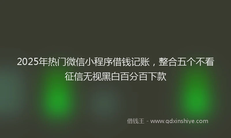 2025年热门微信小程序借钱记账，整合五个不看征信无视黑白百分百下款