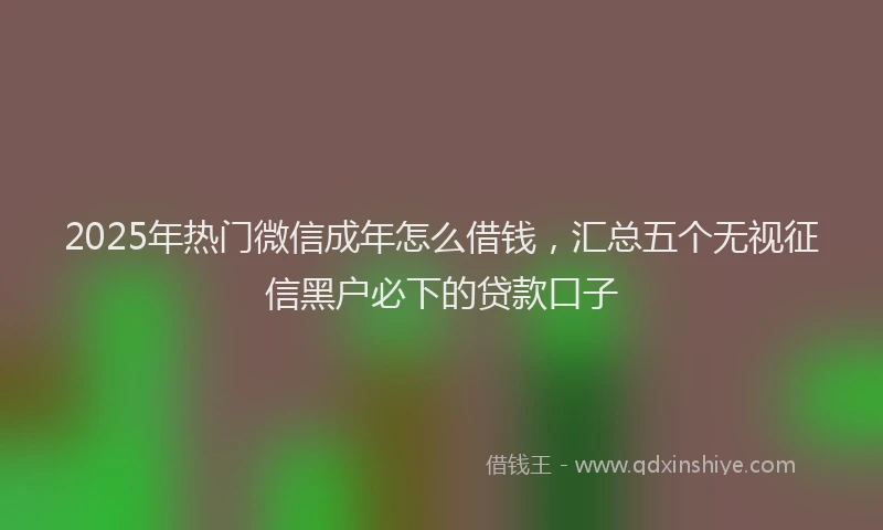 2025年热门微信成年怎么借钱，汇总五个无视征信黑户必下的贷款口子