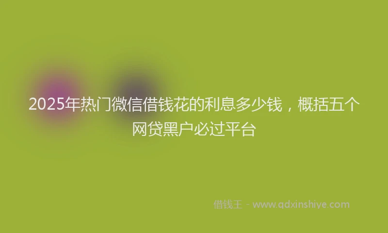 2025年热门微信借钱花的利息多少钱，概括五个网贷黑户必过平台
