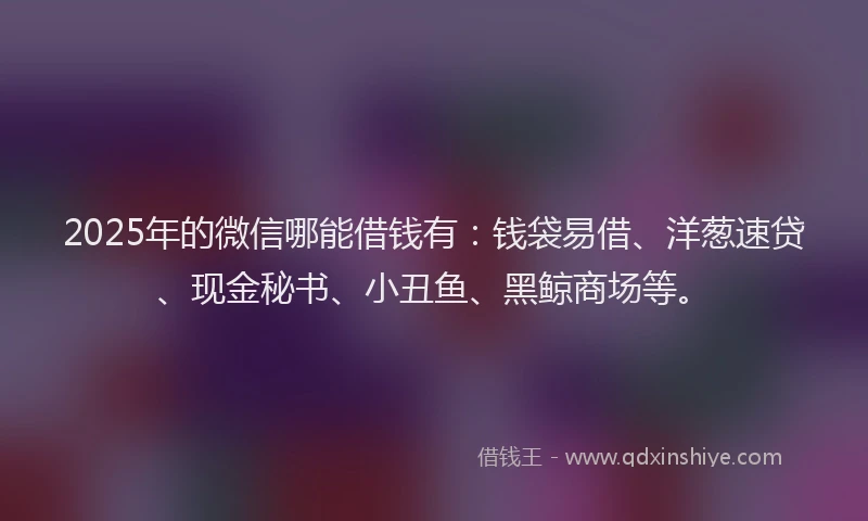 2025年的微信哪能借钱有：钱袋易借、洋葱速贷、现金秘书、小丑鱼、黑鲸商场等。