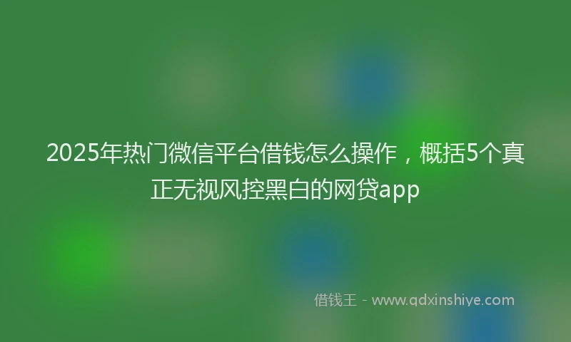 2025年热门微信平台借钱怎么操作，概括5个真正无视风控黑白的网贷app