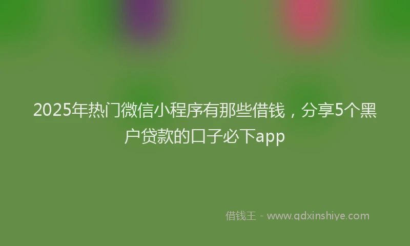 2025年热门微信小程序有那些借钱，分享5个黑户贷款的口子必下app