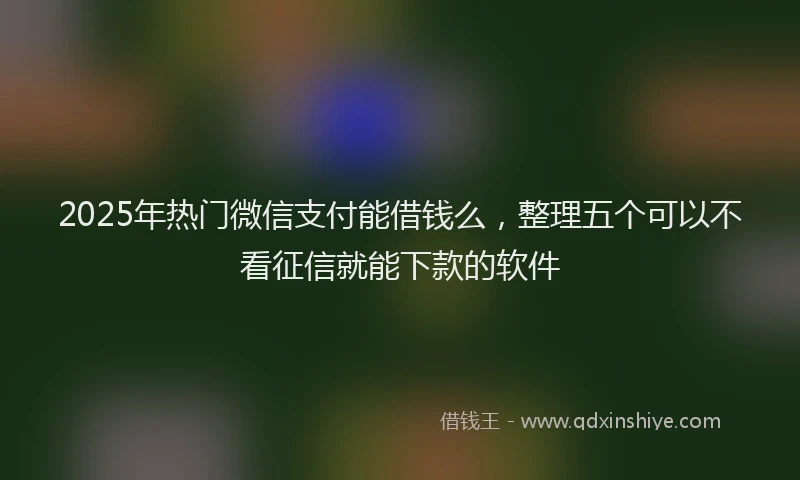 2025年热门微信支付能借钱么，整理五个可以不看征信就能下款的软件