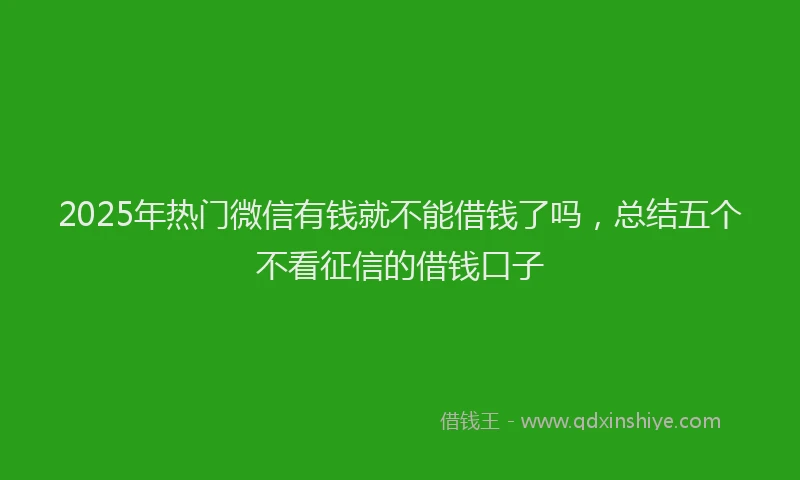 2025年热门微信有钱就不能借钱了吗，总结五个不看征信的借钱口子