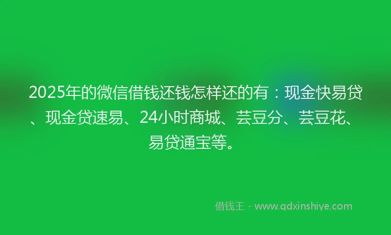 2025年的微信借钱还钱怎样还的有：现金快易贷、现金贷速易、24小时商城、芸豆分、芸豆花、易贷通宝等。