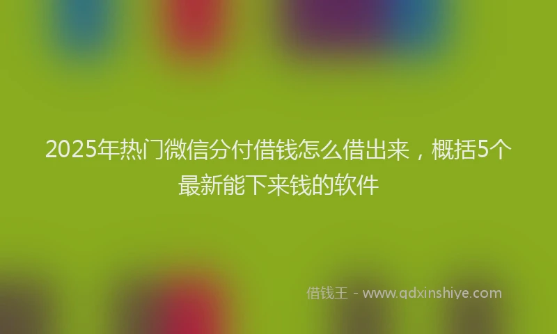 2025年热门微信分付借钱怎么借出来，概括5个最新能下来钱的软件