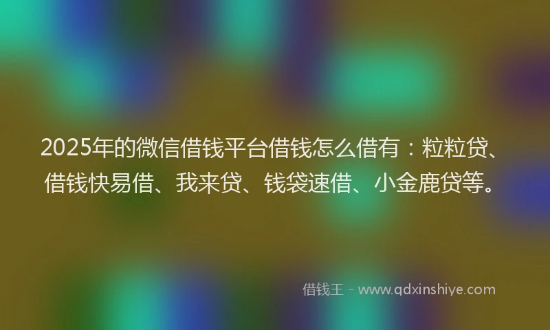 2025年的微信借钱平台借钱怎么借有：粒粒贷、借钱快易借、我来贷、钱袋速借、小金鹿贷等。