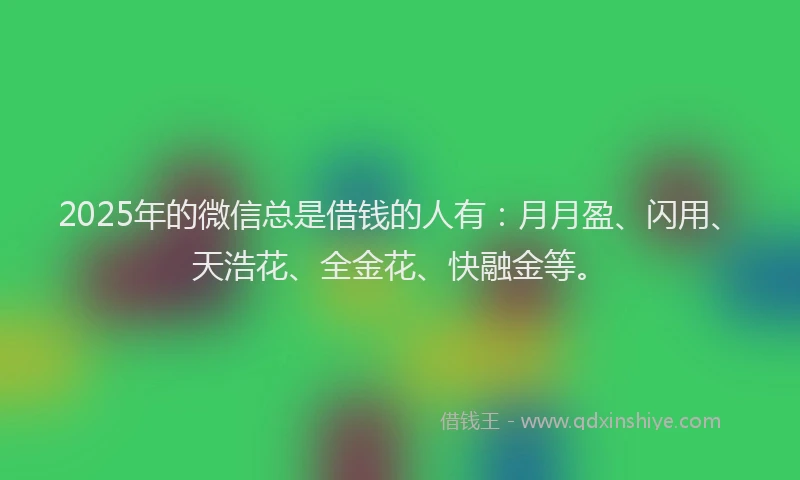 2025年的微信总是借钱的人有：月月盈、闪用、天浩花、全金花、快融金等。