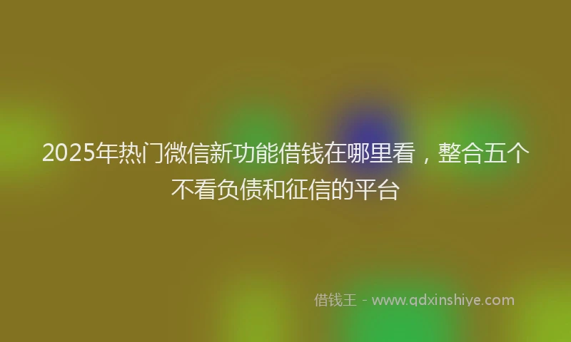 2025年热门微信新功能借钱在哪里看，整合五个不看负债和征信的平台