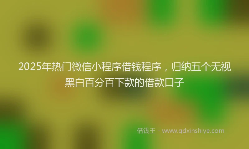 2025年热门微信小程序借钱程序，归纳五个无视黑白百分百下款的借款口子