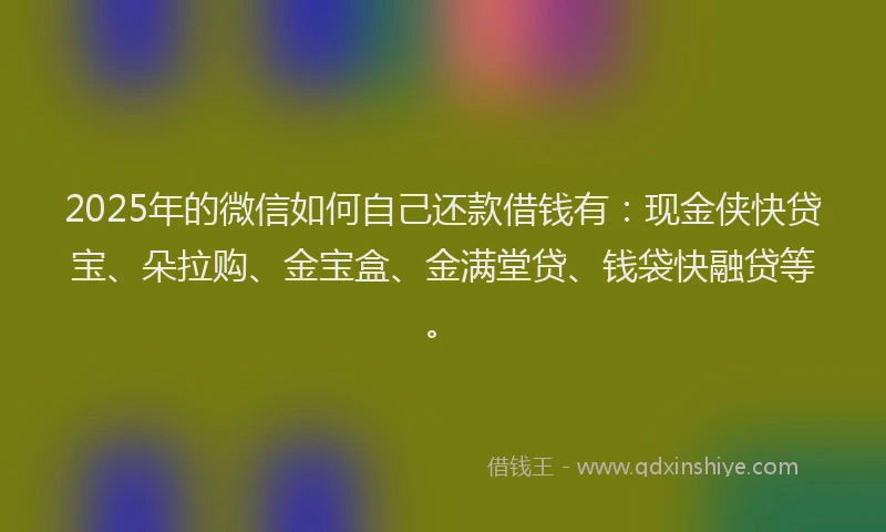 2025年的微信如何自己还款借钱有：现金侠快贷宝、朵拉购、金宝盒、金满堂贷、钱袋快融贷等。