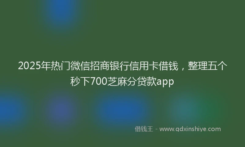 2025年热门微信招商银行信用卡借钱，整理五个秒下700芝麻分贷款app