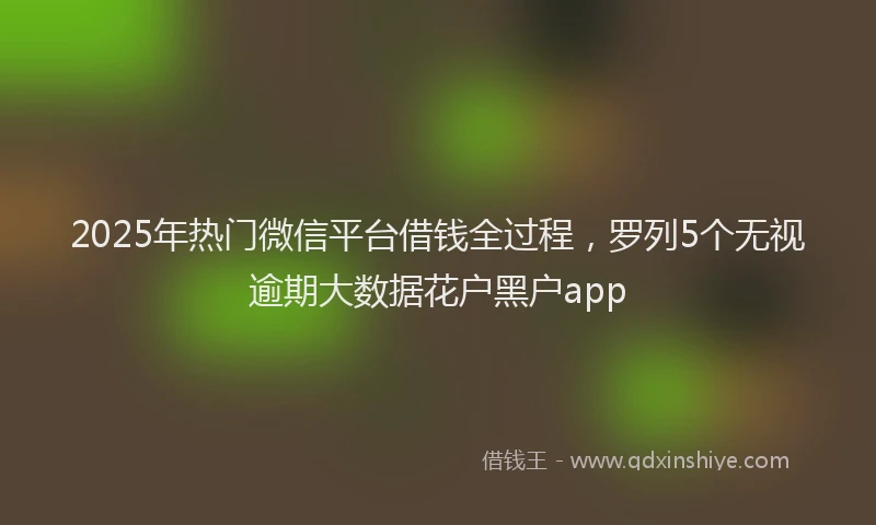 2025年热门微信平台借钱全过程，罗列5个无视逾期大数据花户黑户app