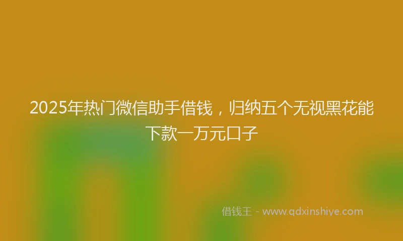 2025年热门微信助手借钱，归纳五个无视黑花能下款一万元口子