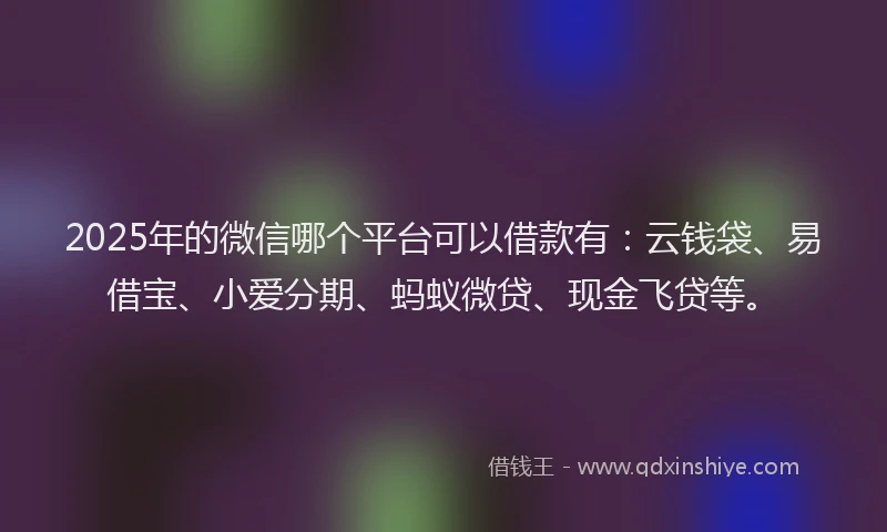2025年的微信哪个平台可以借款有：云钱袋、易借宝、小爱分期、蚂蚁微贷、现金飞贷等。